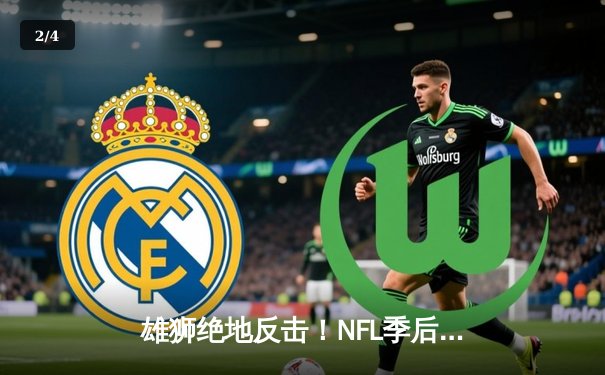 雄狮绝地反击！NFL季后赛国联决赛上演加时史诗对决 - 2